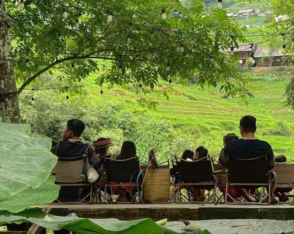 Wecamp Glamping (Nguồn: Wecamp Cafe Retreat)